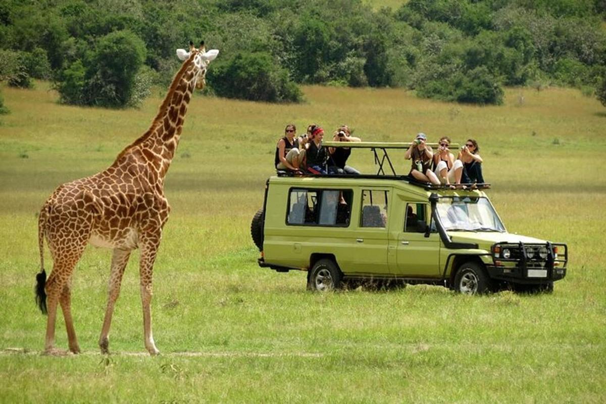 una giraffa in piedi accanto a un veicolo con delle persone