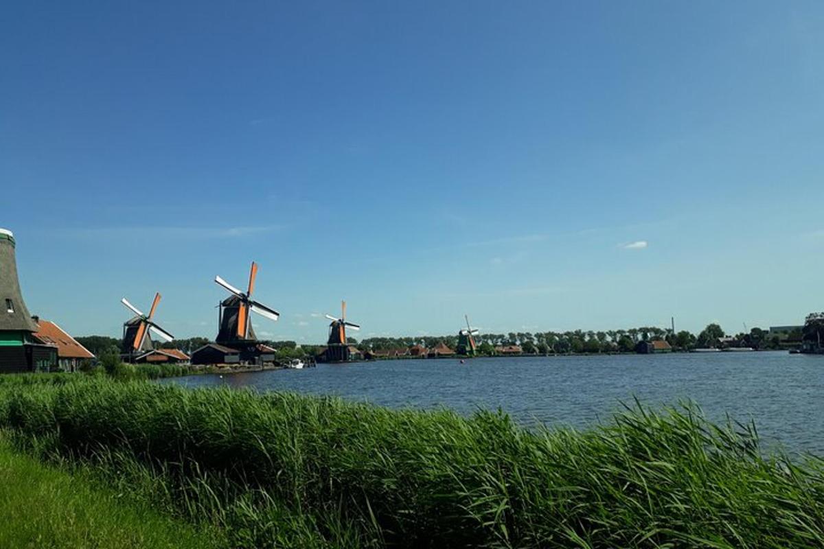 a view of a river with windmills in the background