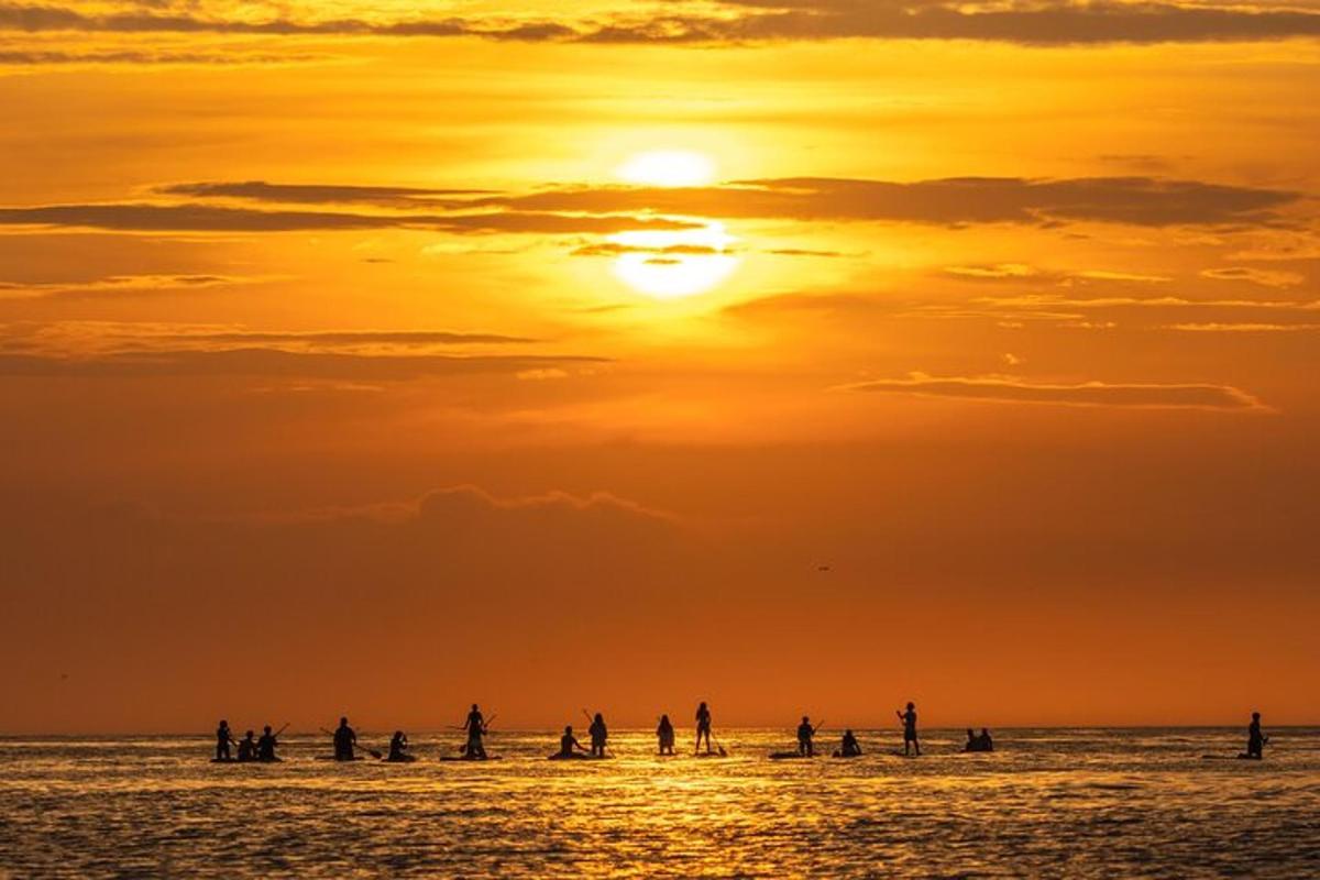 Un grupo de personas de pie en el océano al atardecer.