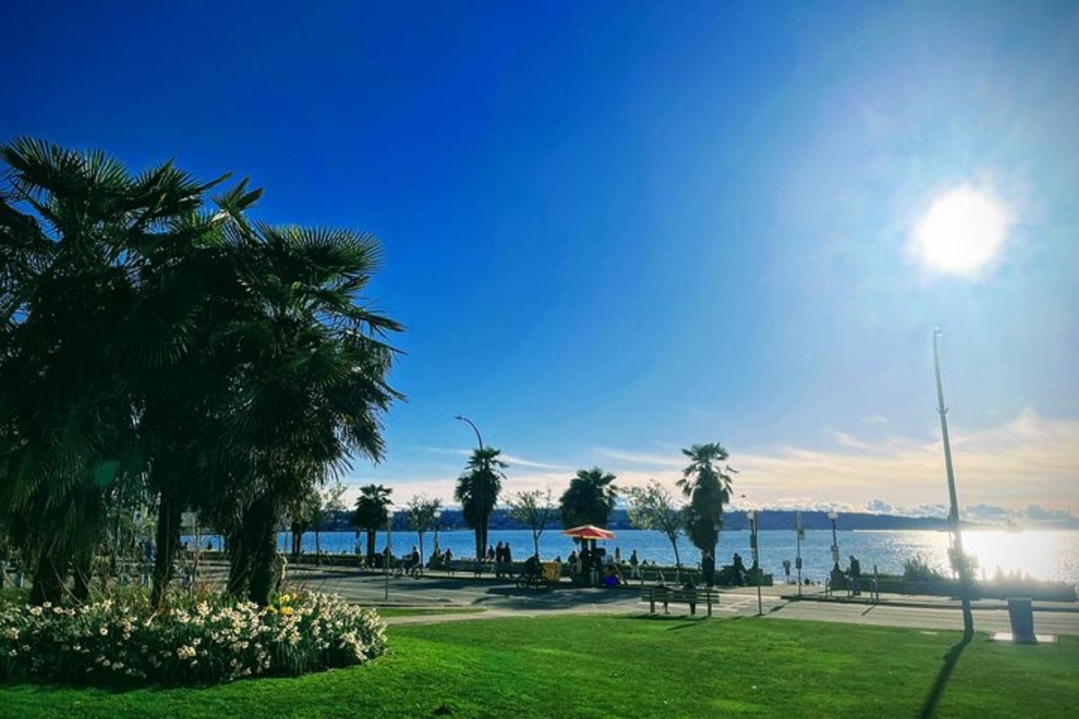 parks ar palmām un ūdenstilpni