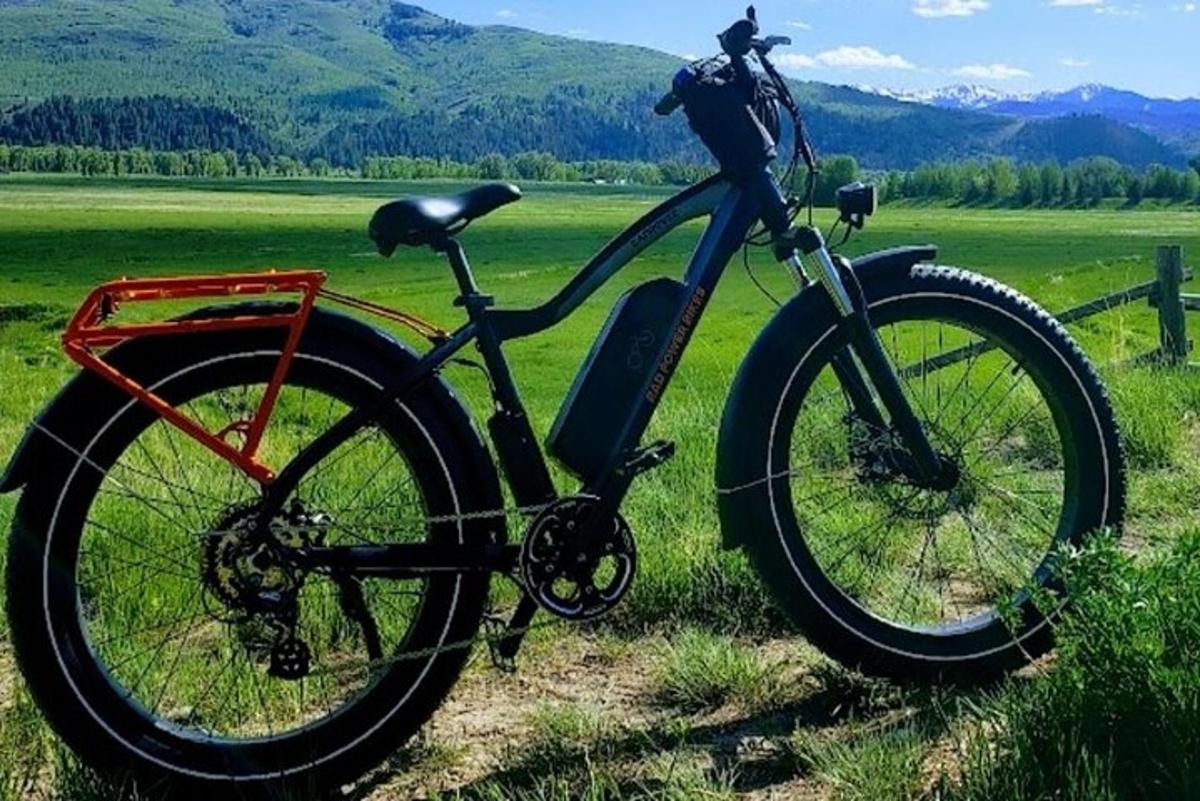 una bicicletta parcheggiata sull'erba in un campo
