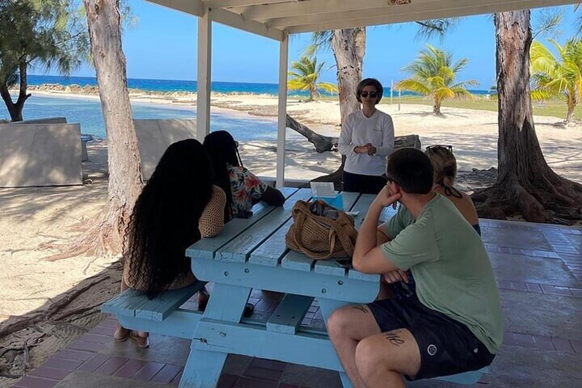 sekelompok orang duduk di meja piknik di pantai