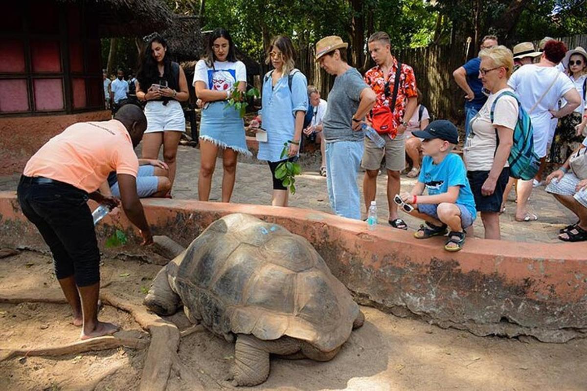 un gruppo di persone che osserva una tartaruga in uno zoo