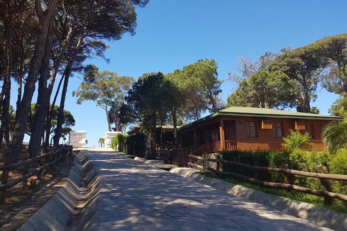 un camino al lado de una casa con una valla