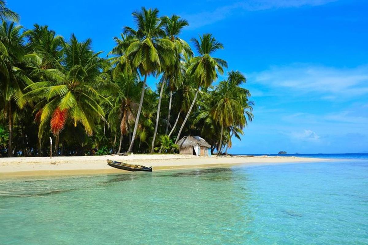 een strand met palmbomen en een boot in het water