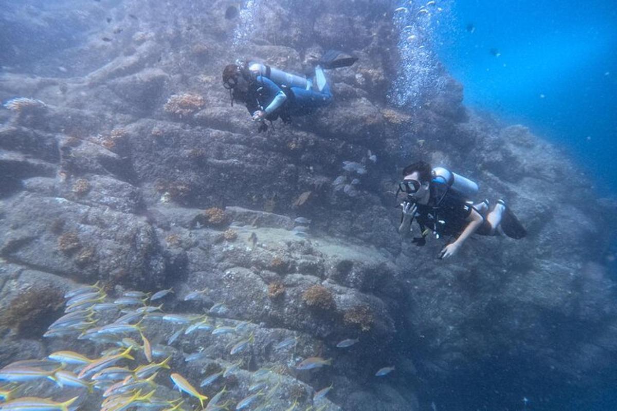 dua orang sedang berenang di lautan berhampiran terumbu karang