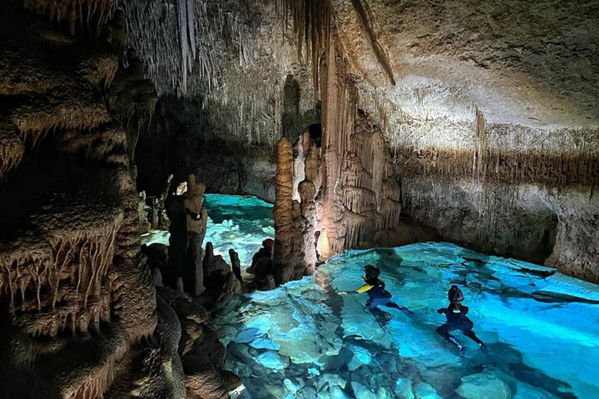 Premium-Tour: Aquatische Höhlen mit Höhlenführern entdecken