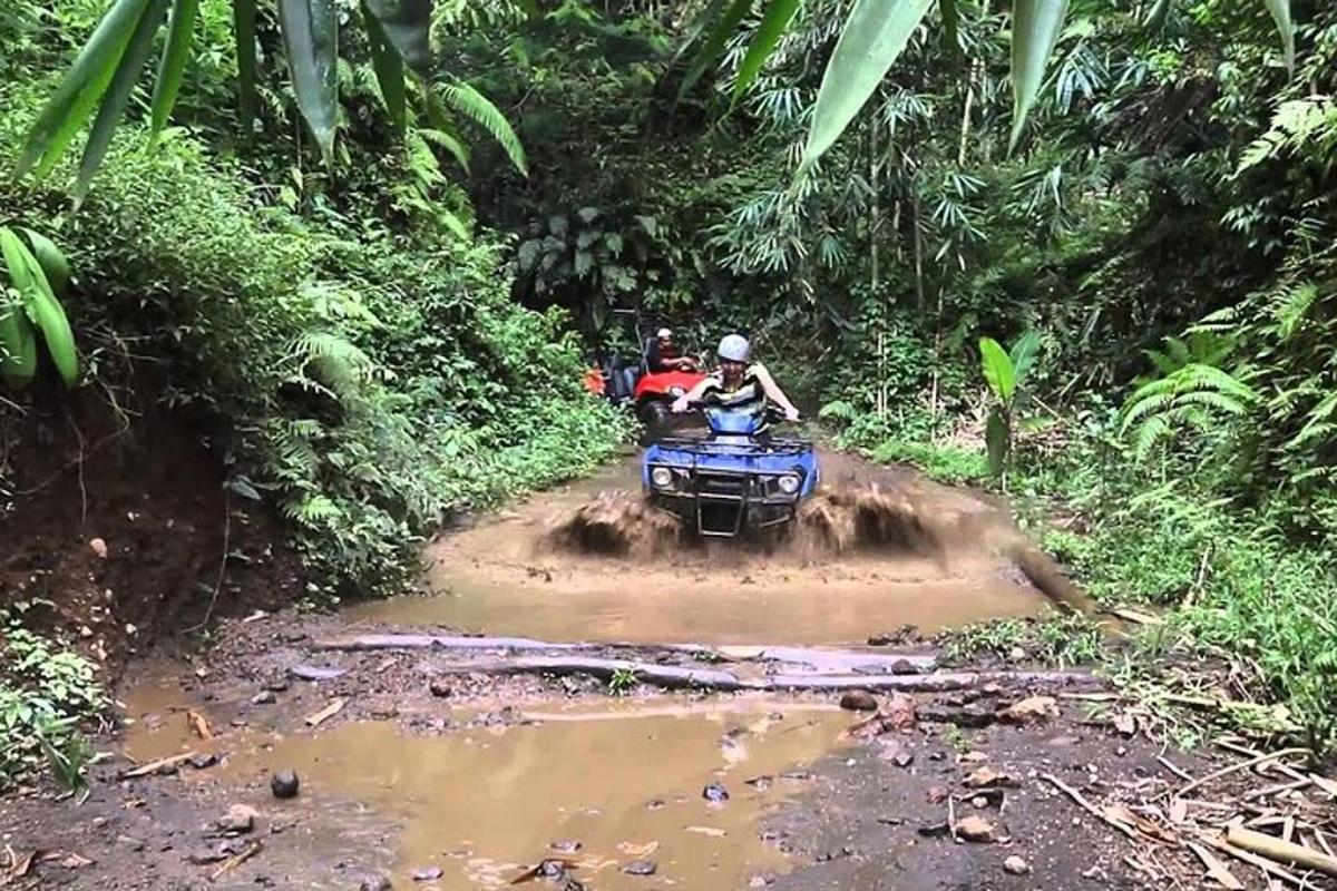 una persona che guida un quad su una strada sterrata