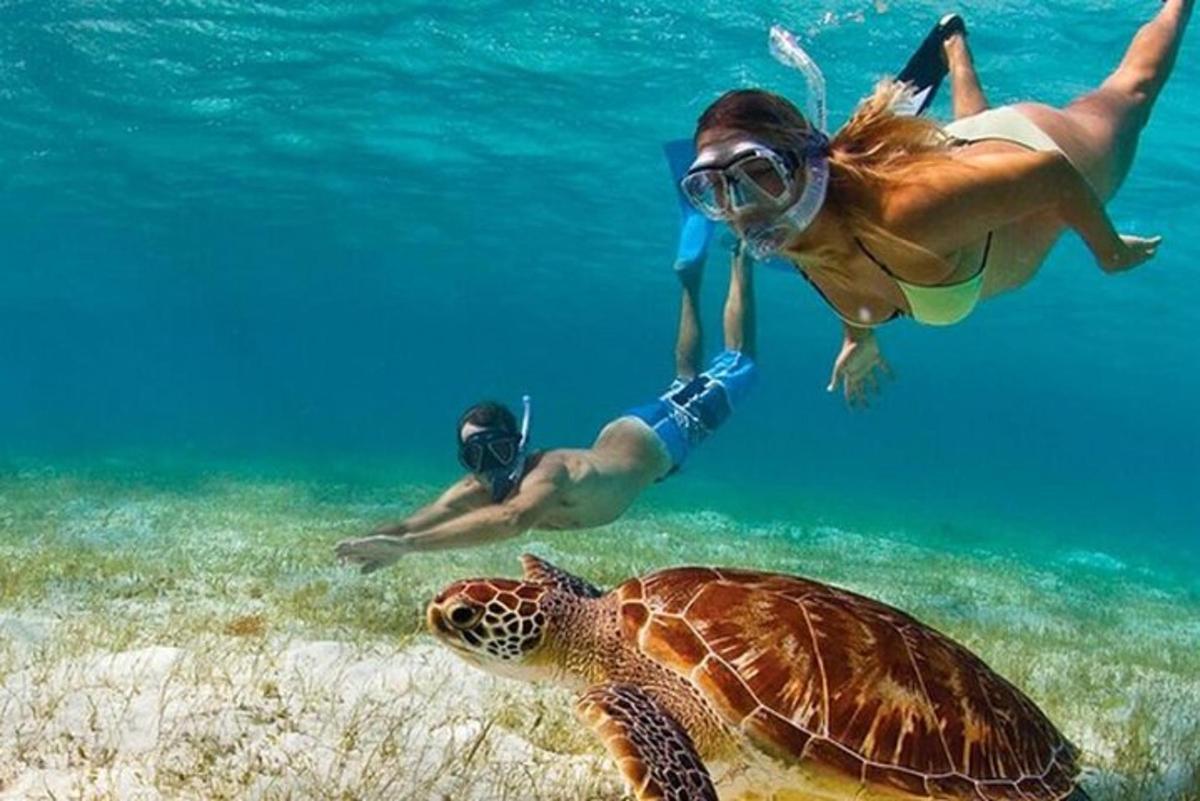 una donna e una tartaruga nell'acqua