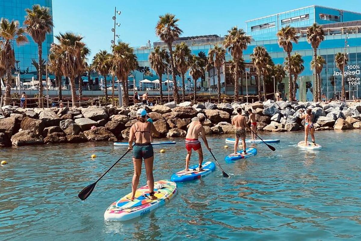 skupina lidí na paddleboardech ve vodě