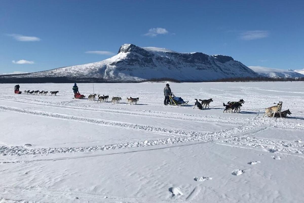 un gruppo di persone e un gruppo di cani nella neve