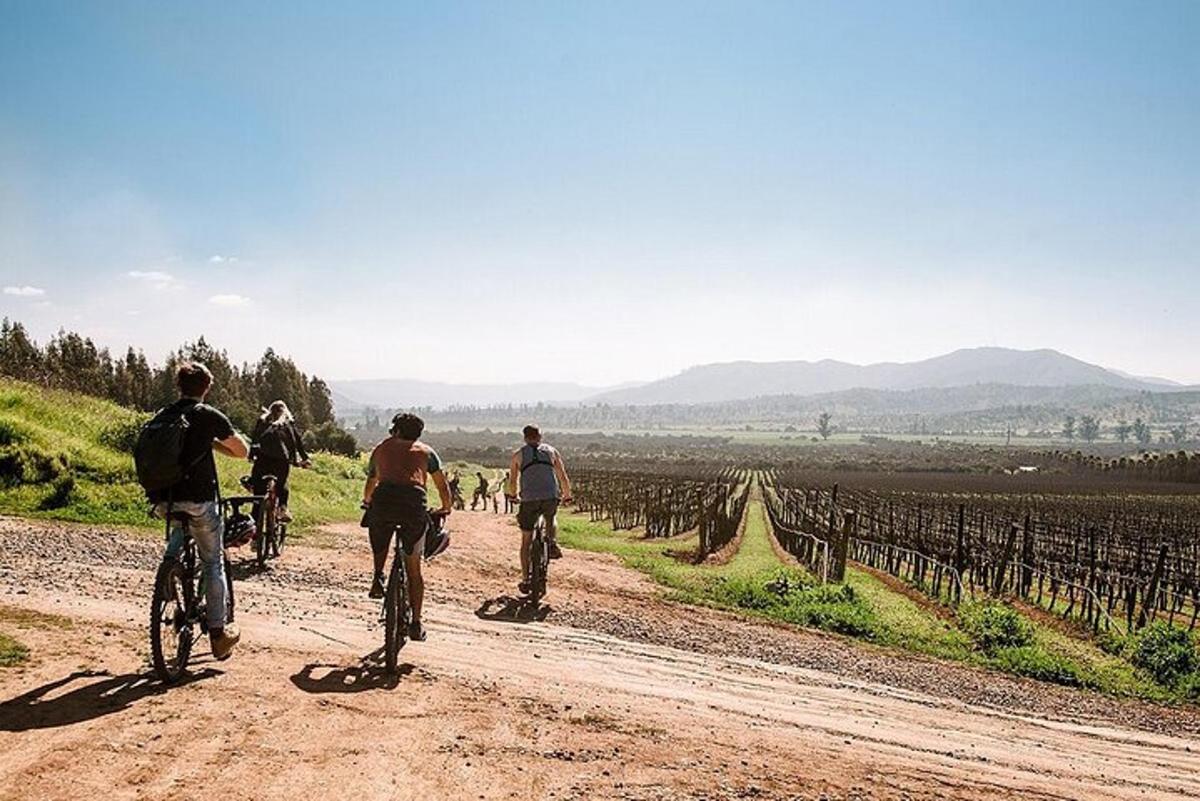 a group of people riding bikes on a dirt road