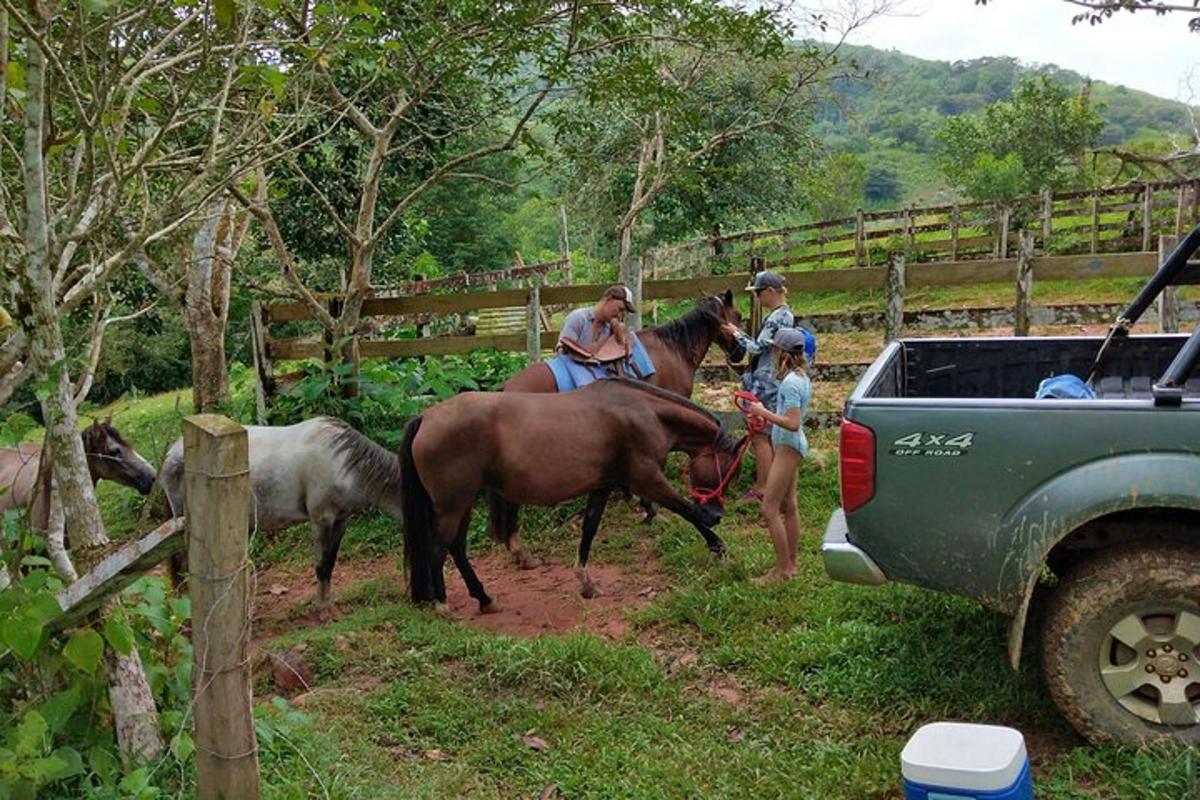 un gruppo di persone a cavallo accanto a un camion