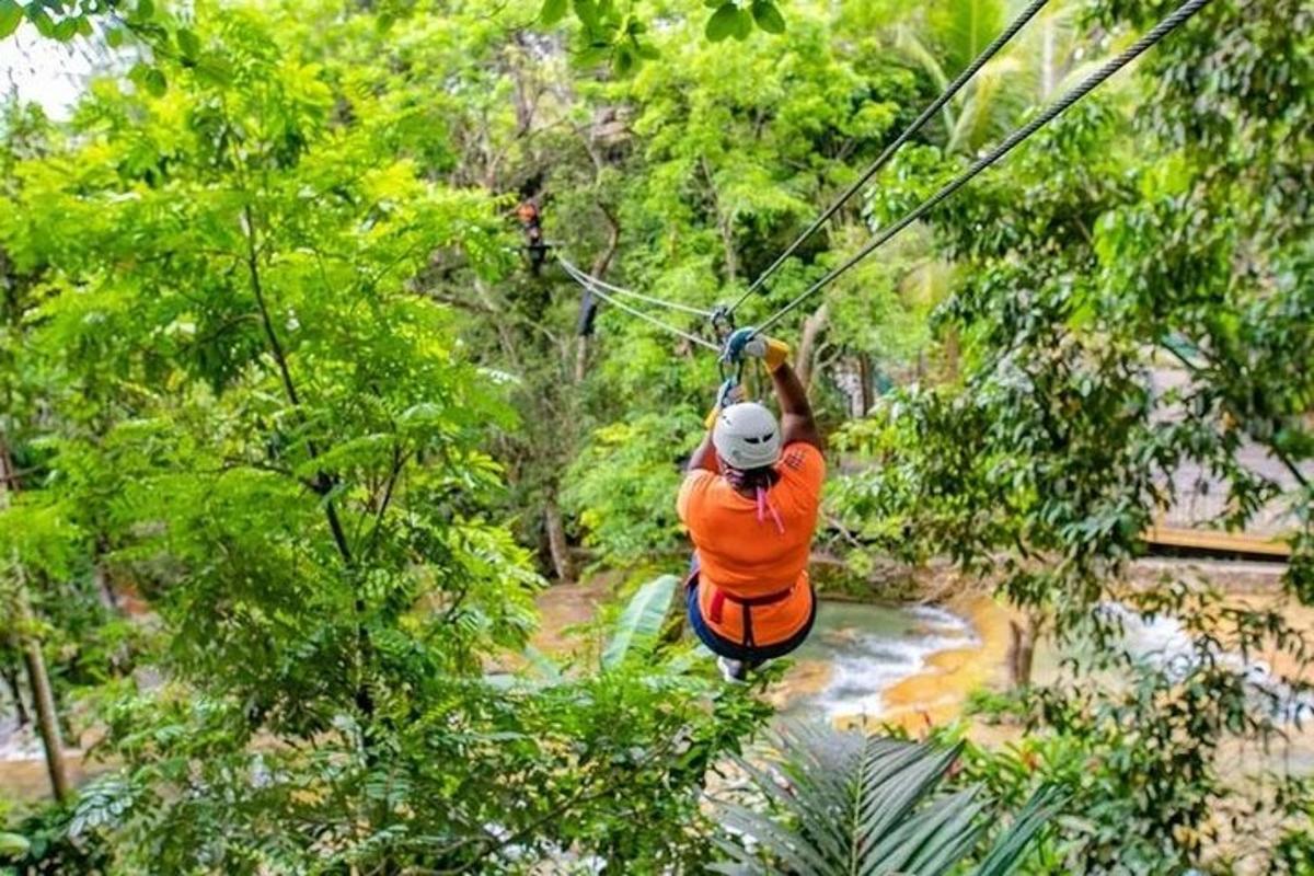 seorang lelaki menunggang zip di dalam hutan