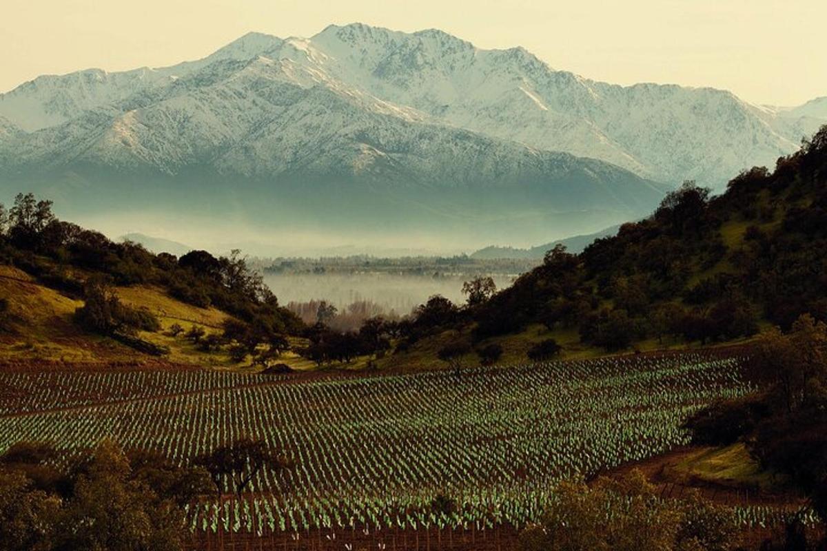 a view of a mountain range with a field of crops