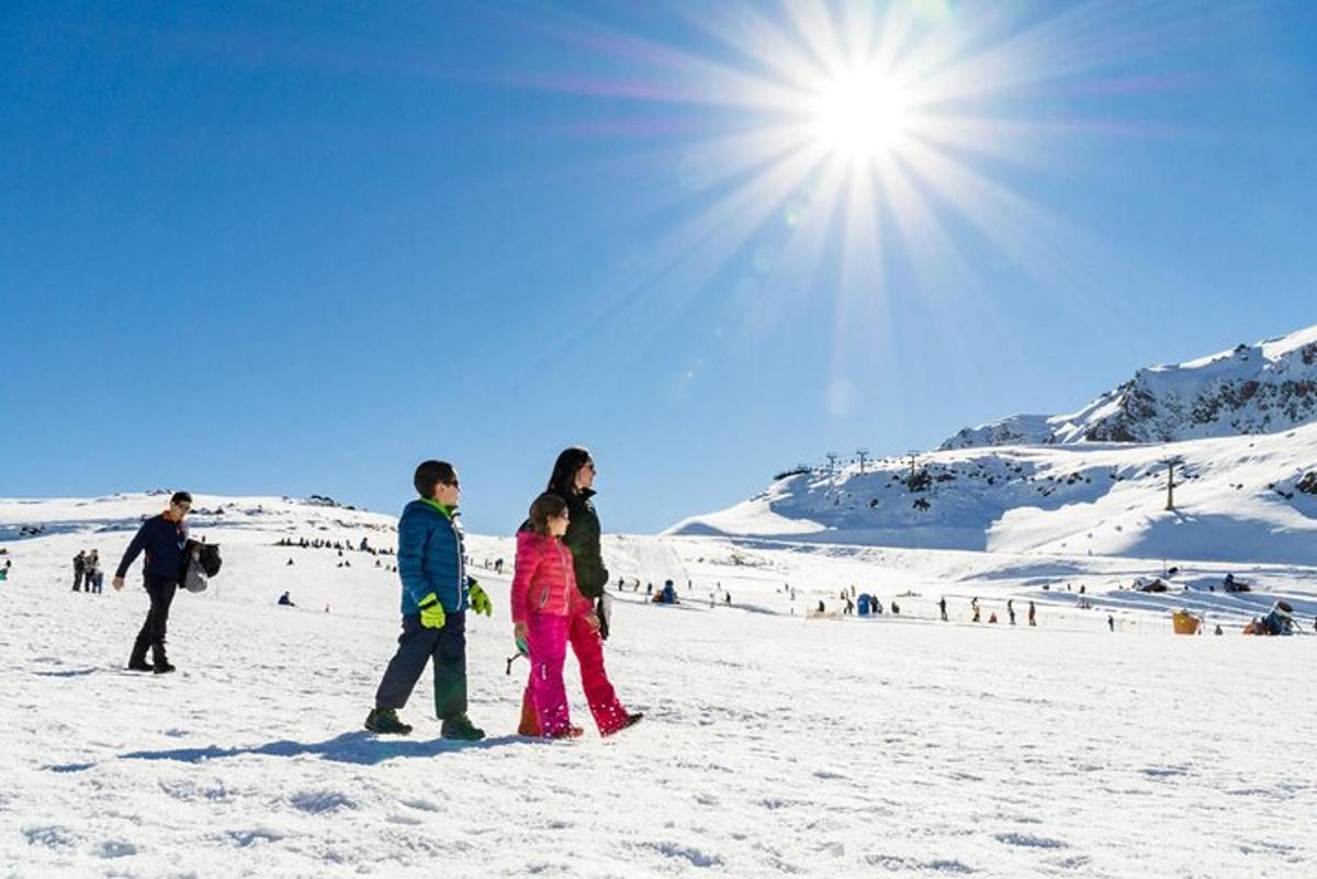 Un grupo de personas de pie en la nieve