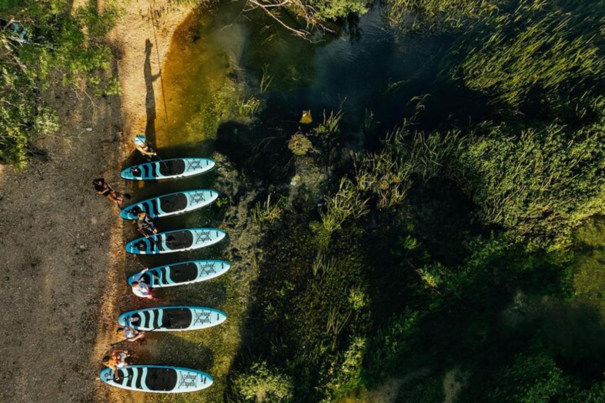 a group of kayaks lined up in a row