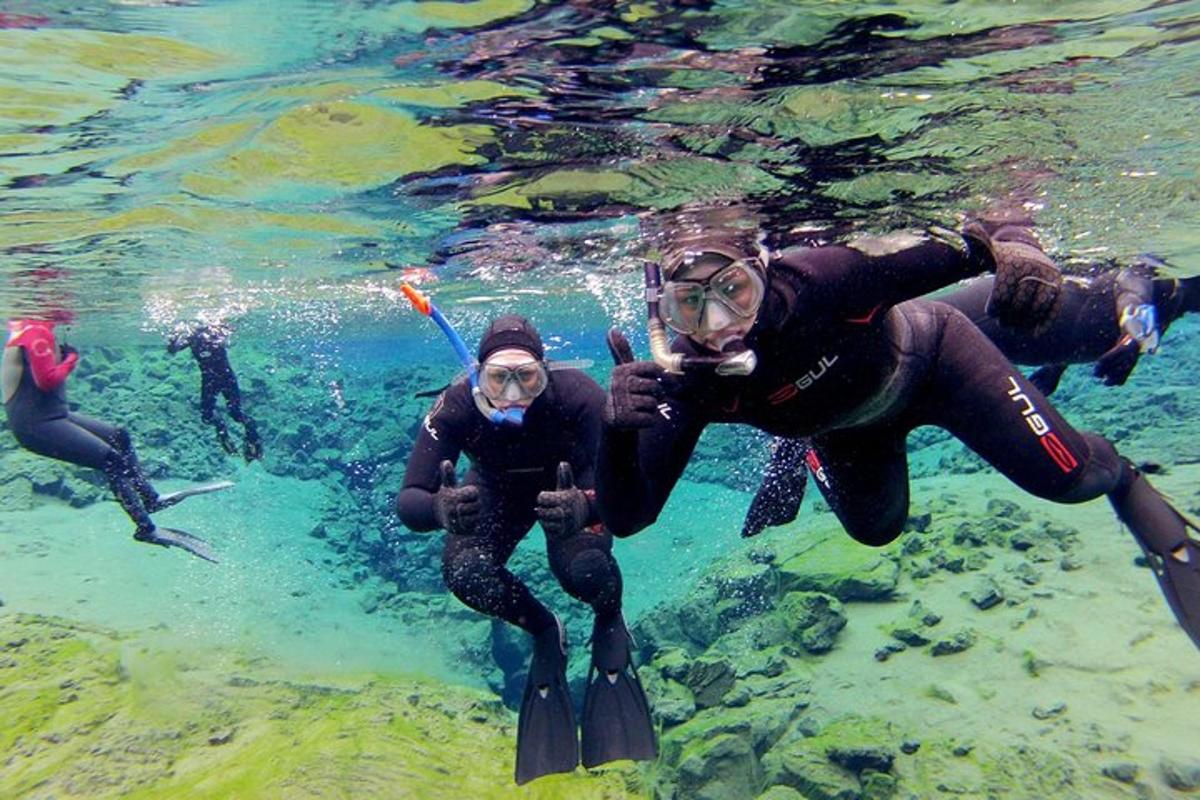 sekumpulan orang berenang di dalam air