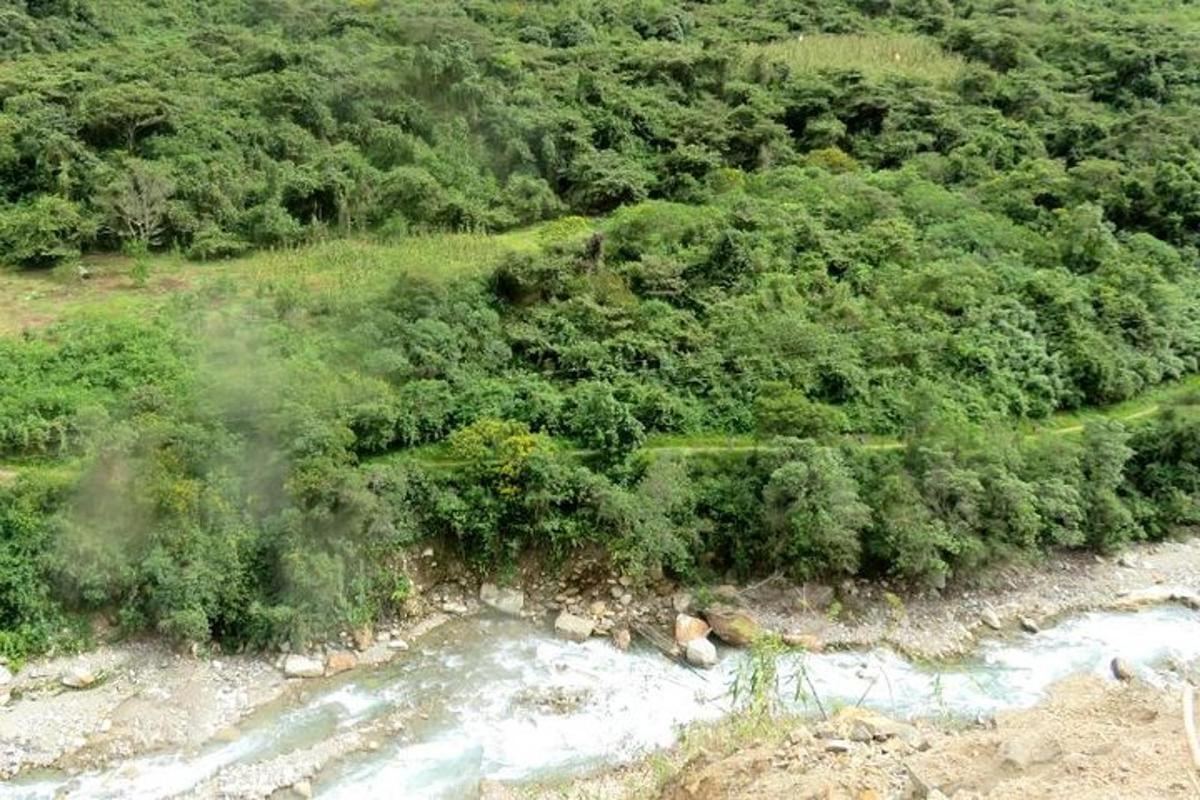 منظر علوي لنهر في غابة