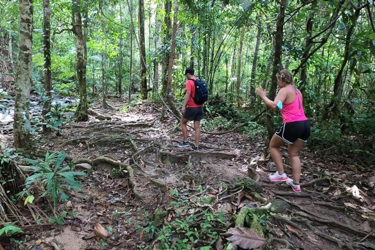 two people walking on a trail in the woods