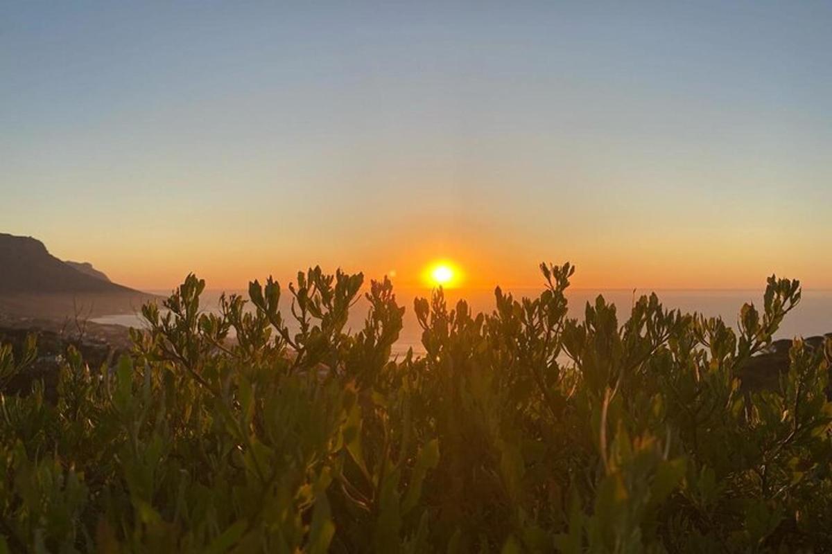 前景に茂みがある海に沈む夕日
