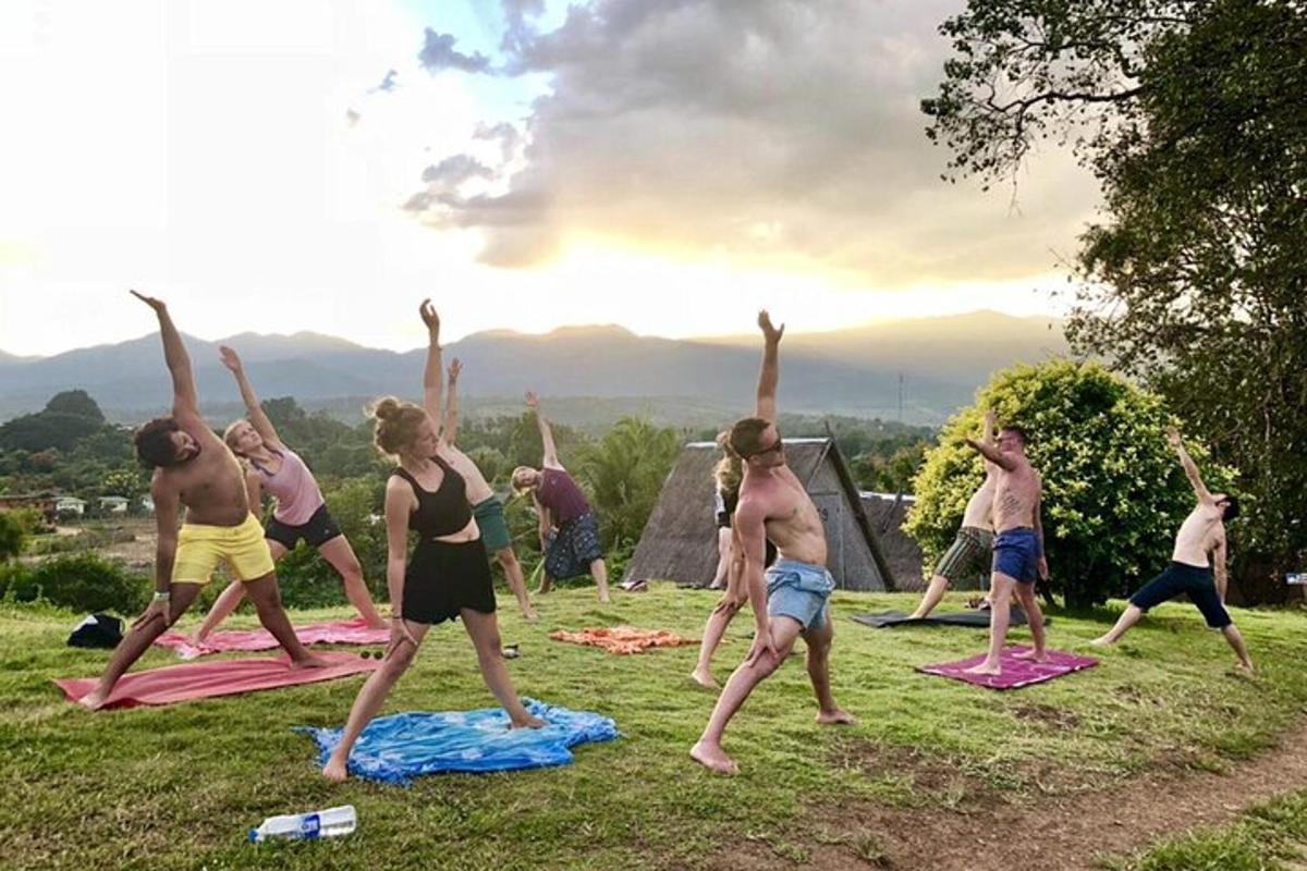 un gruppo di persone che fa yoga sull'erba