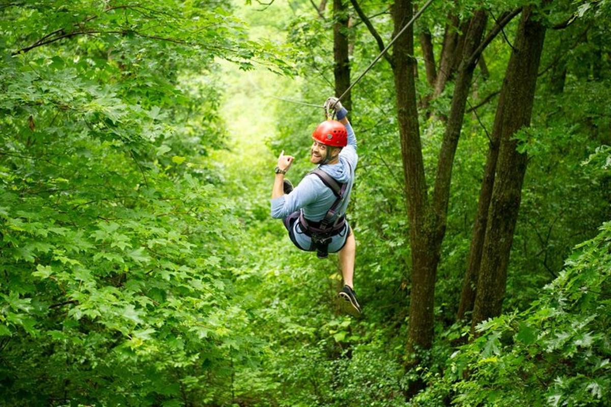 un home pujant en tirolina per un bosc