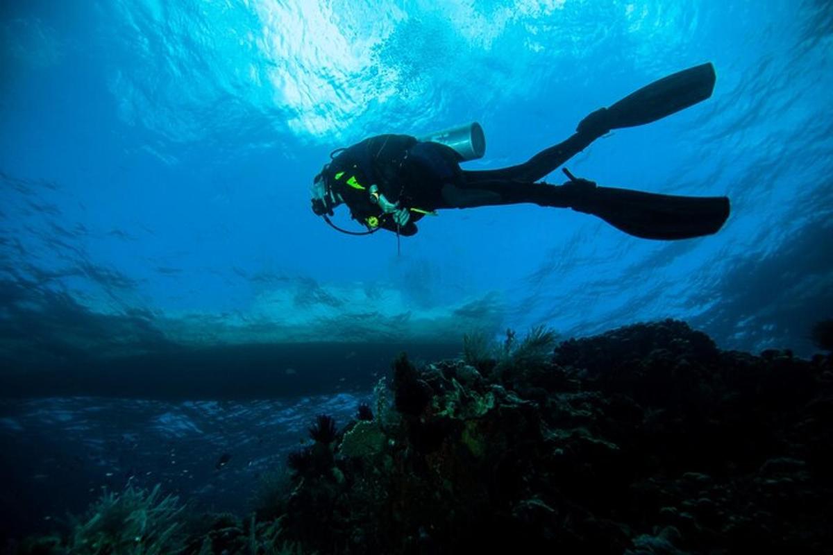 uma pessoa nadando no oceano com um mergulhador