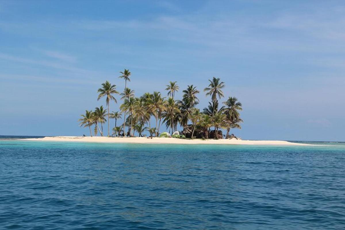 eine Gruppe von Palmen auf einer Insel im Ozean
