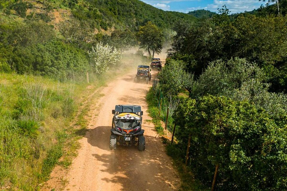 un grup de vehicles que circulen per un camí de terra