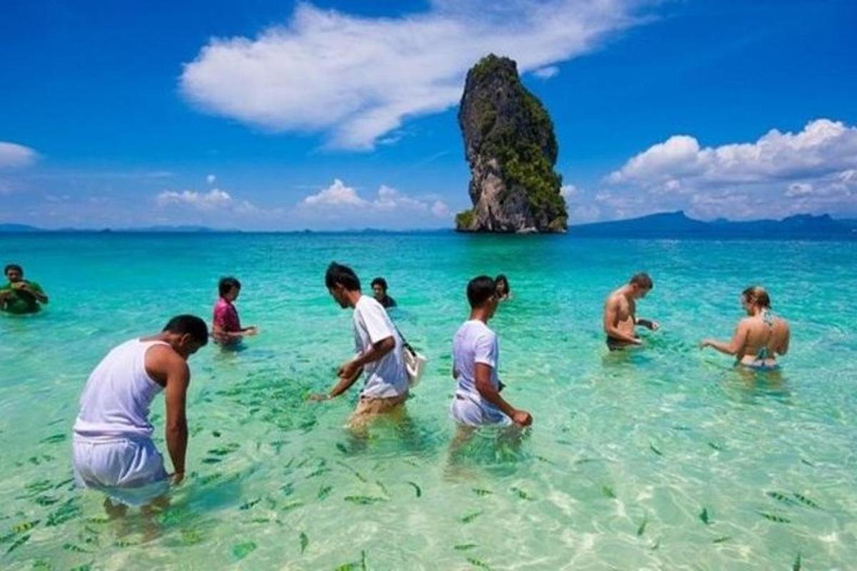 กลุ่มคนกำลังเล่นน้ำอยู่ริมชายหาด