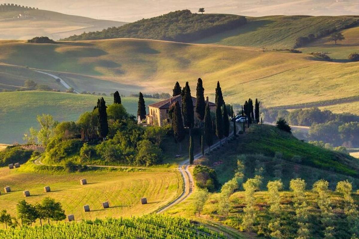 una fattoria in un campo con alberi e una strada