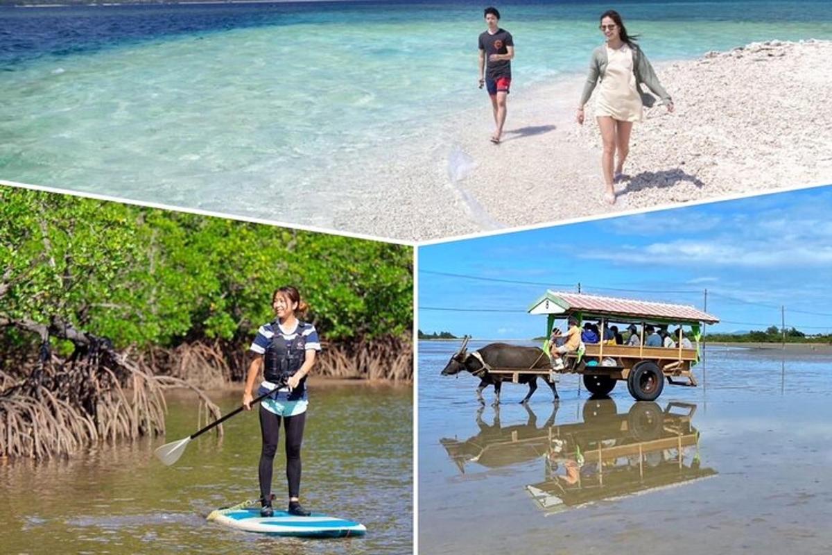 tři obrázky lidí na pláži a ženy na paddleboardu