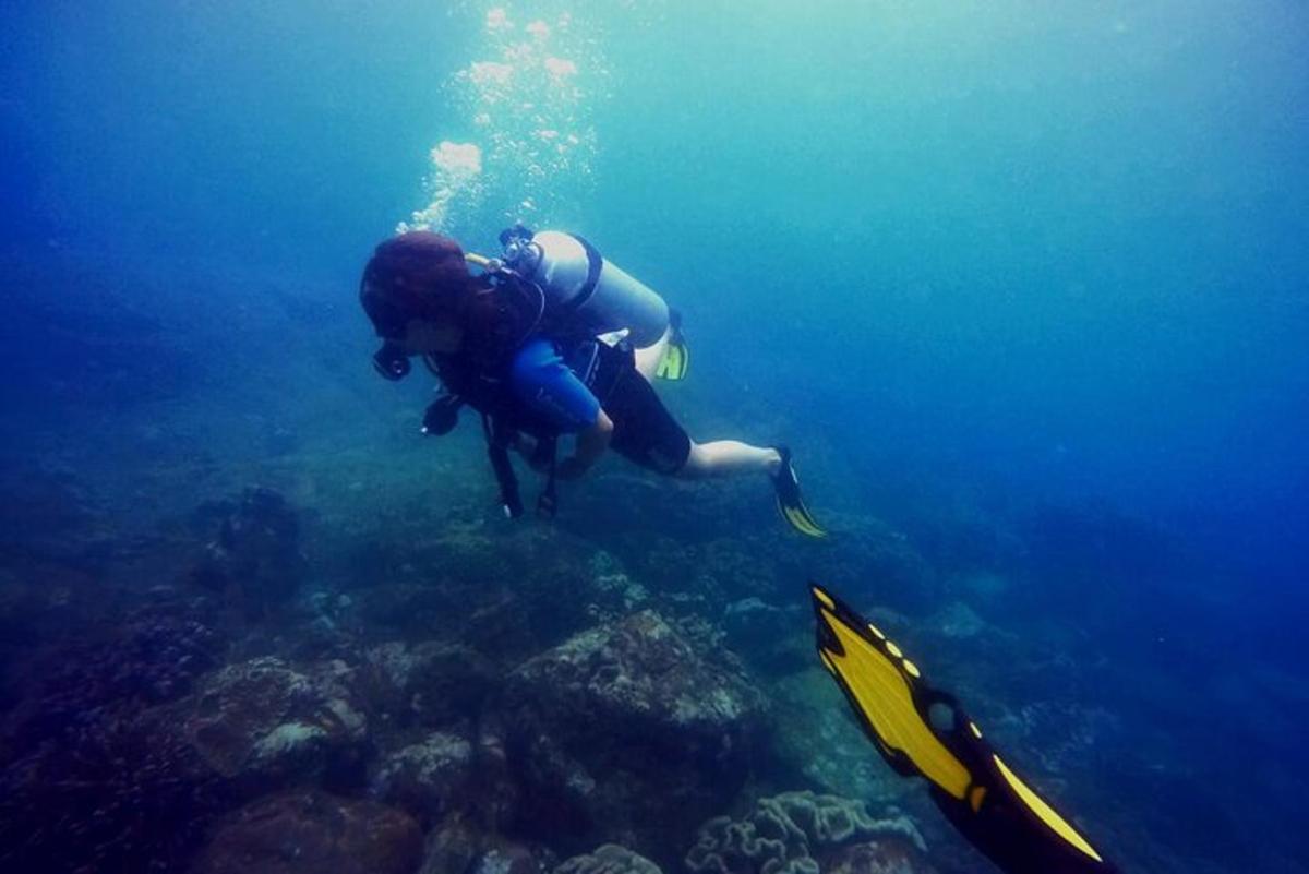osoba v oceánu dívající se na útes