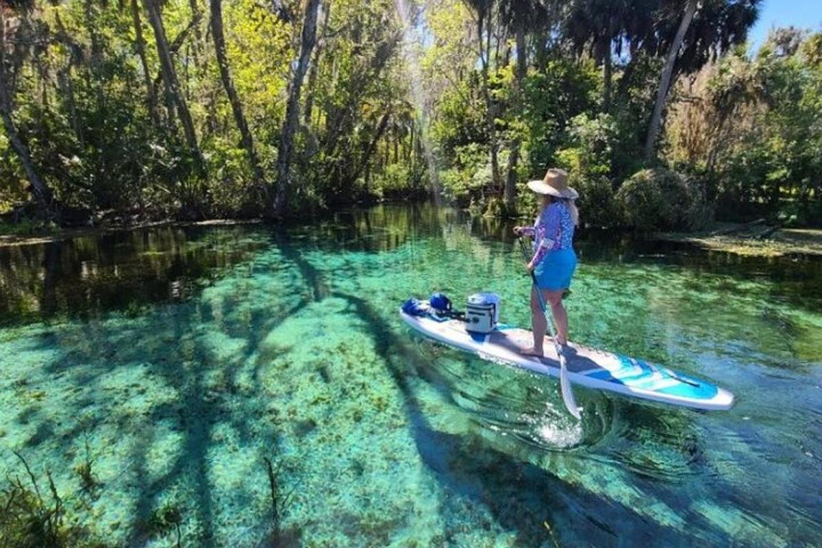 žena stojaca na paddleboarde vo vode