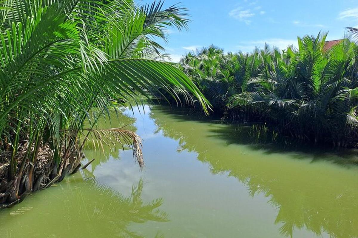 sungai dengan pokok kurma di tepinya
