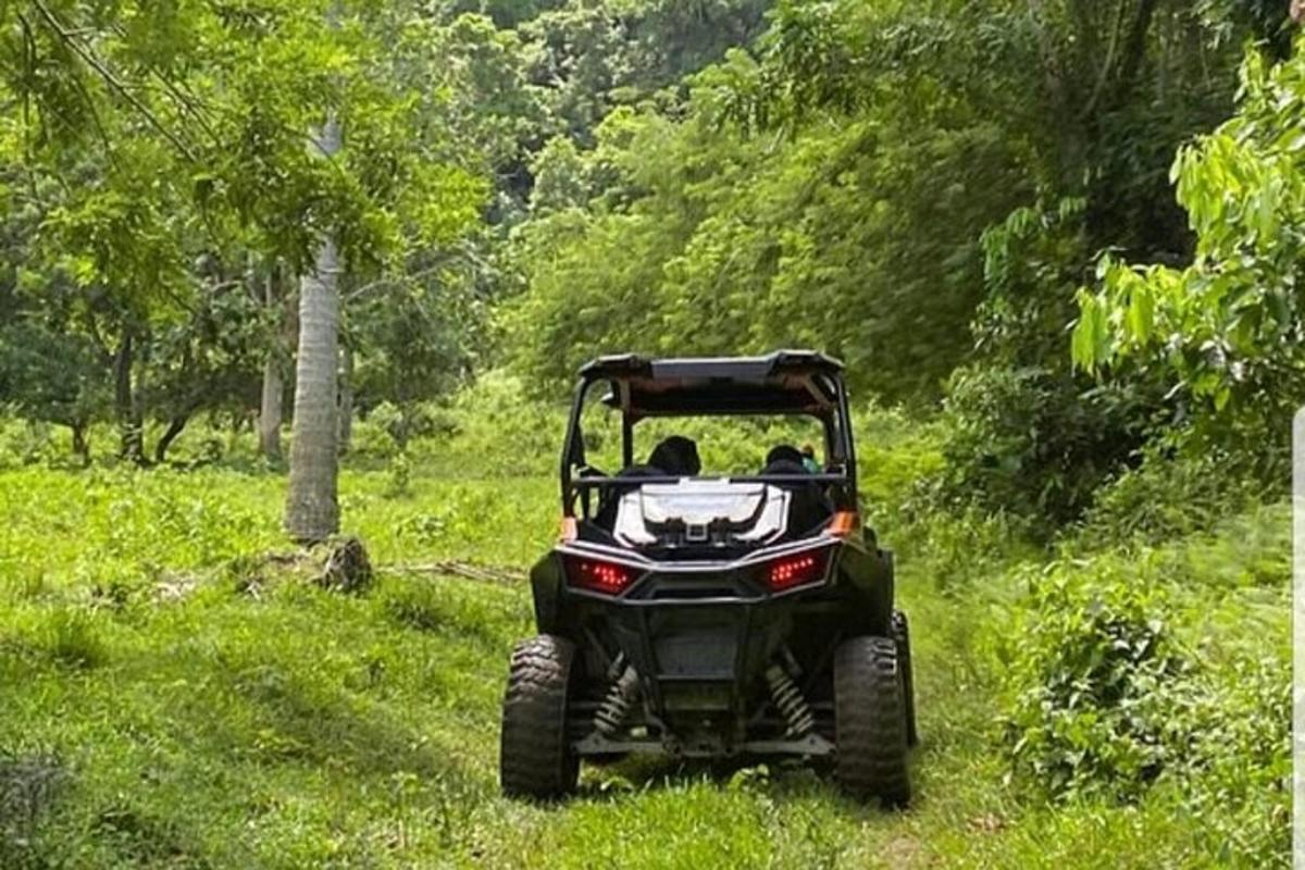 sebuah atv diletakkan di rumput di padang
