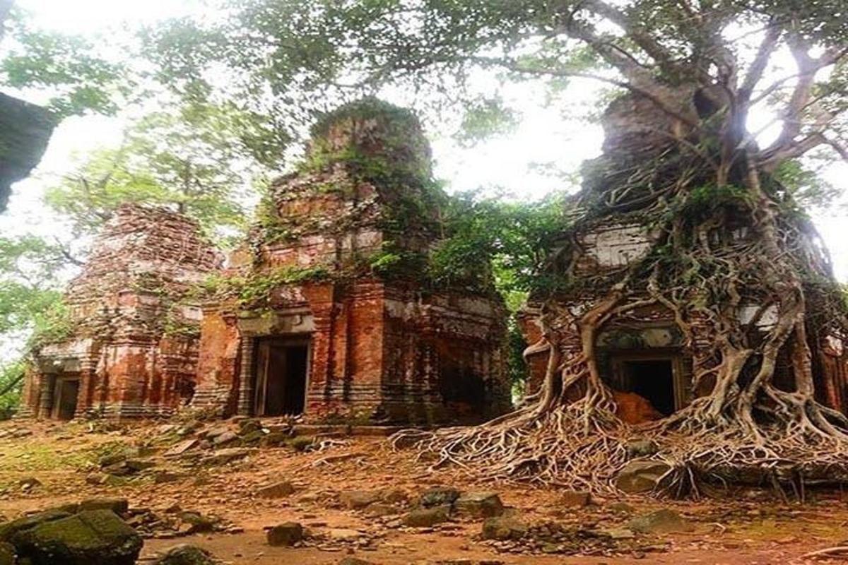 an old building with a tree growing out of it