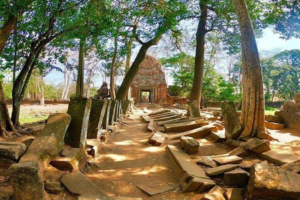 a small building in the middle of a forest of trees