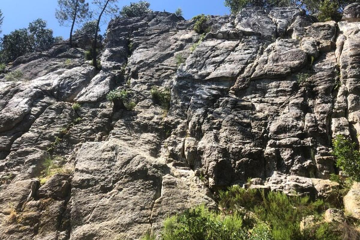 una montagna rocciosa con alberi in cima