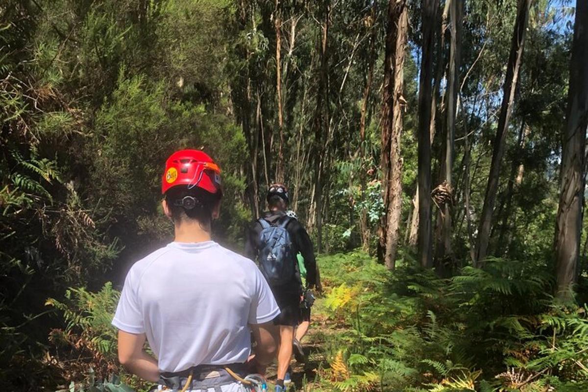 un uomo che va in bicicletta lungo un sentiero nel bosco
