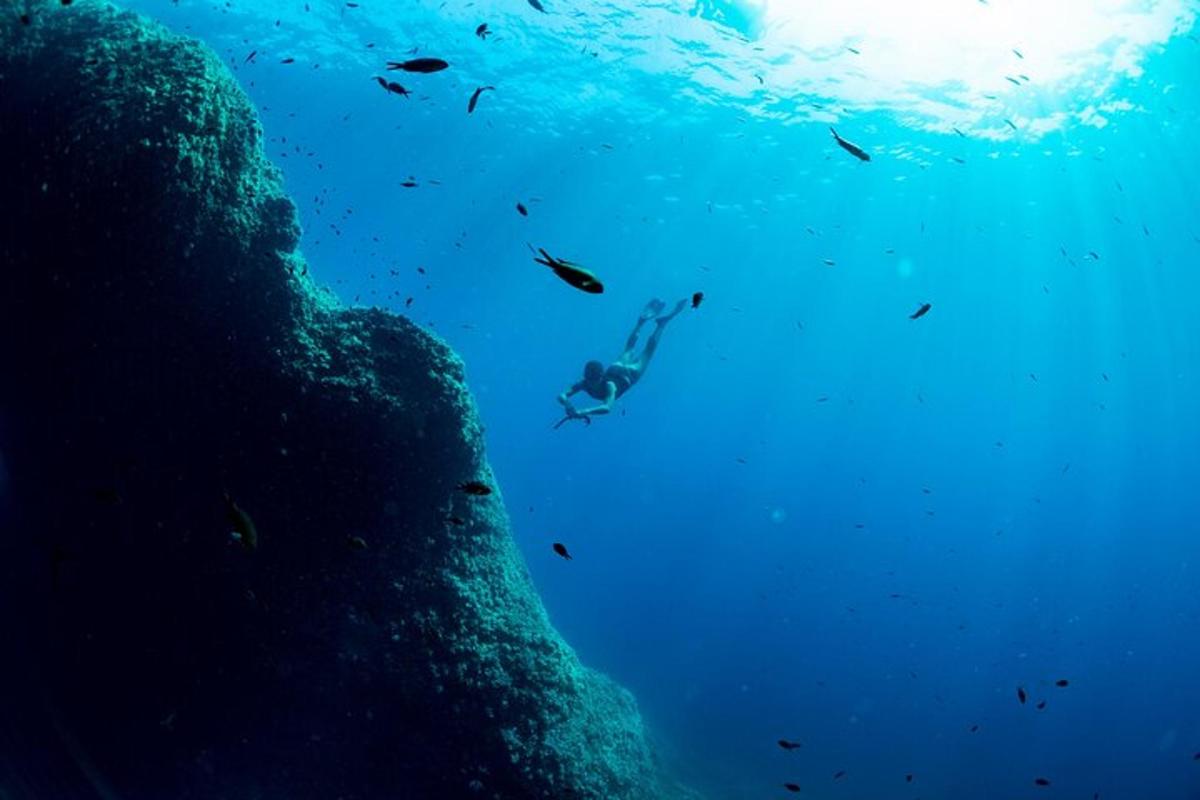 una persona che nuota nell'oceano vicino a una barriera corallina