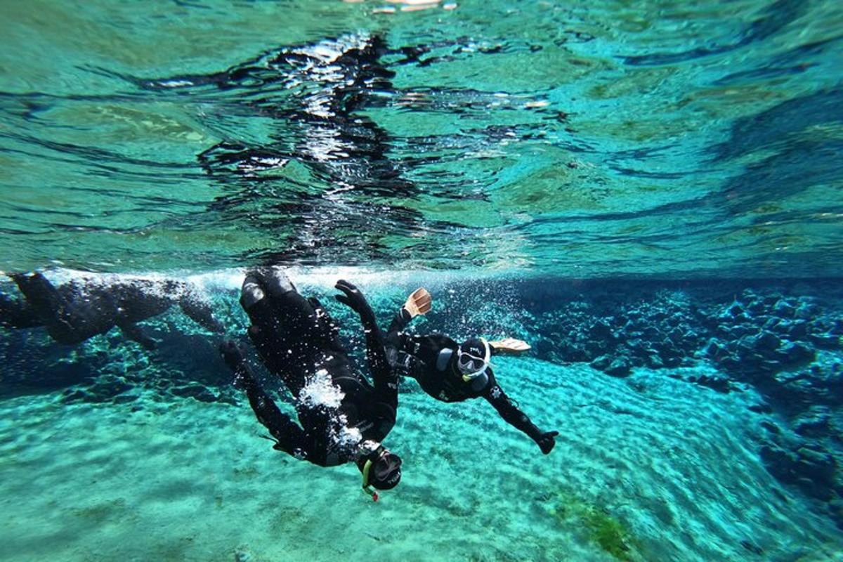o persoană într-un costum de neopren care înoată în apă