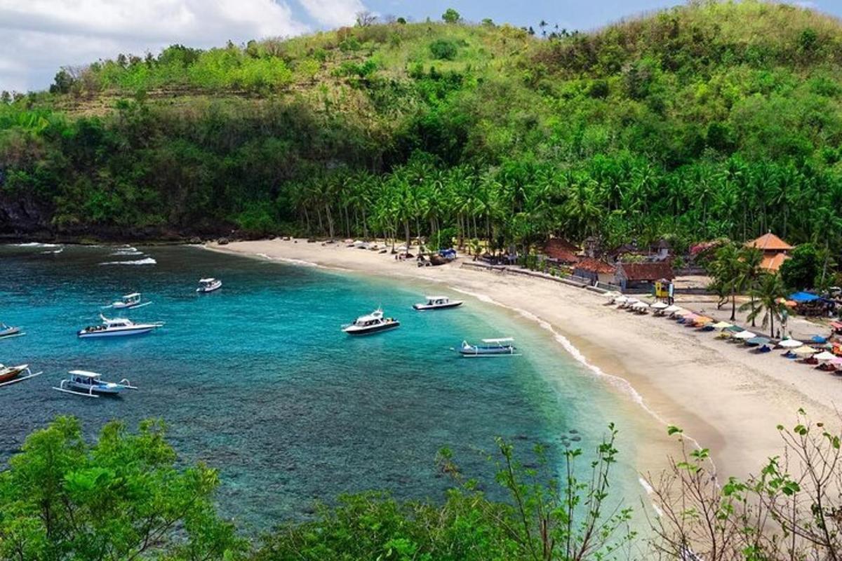 sekumpulan bot di dalam air di pantai