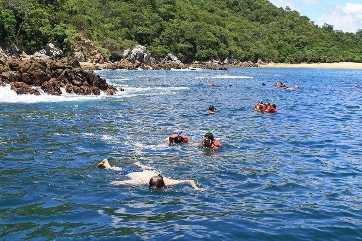 un groupe de personnes nageant dans un plan d'eau