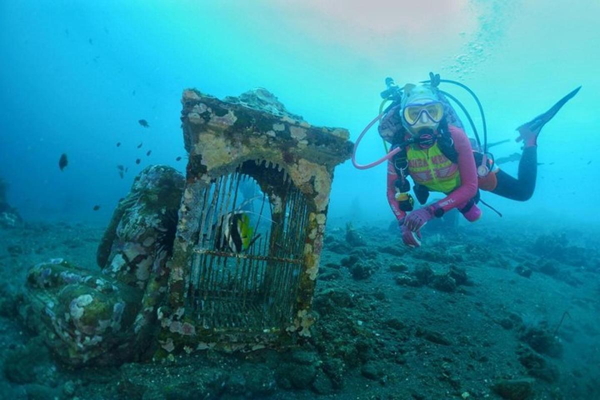 una persona està fent submarinisme a l'oceà