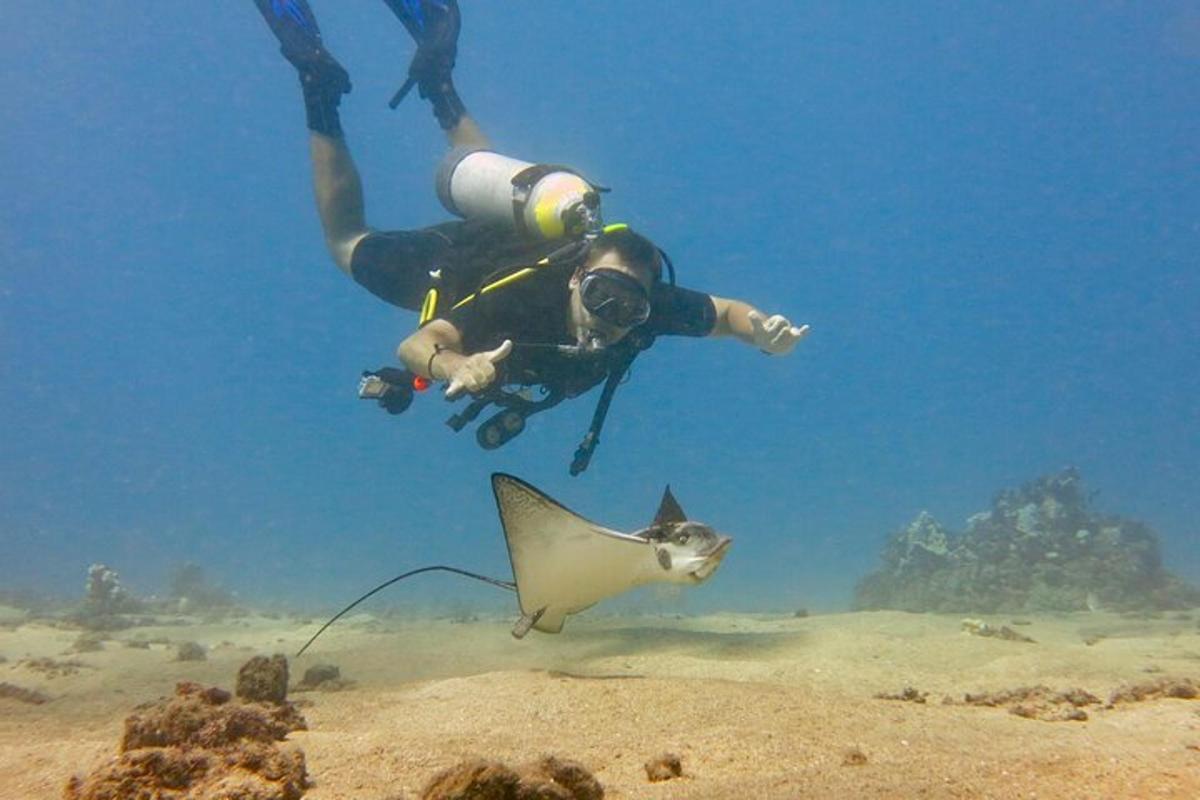 una persona en el agua con un pez en el océano