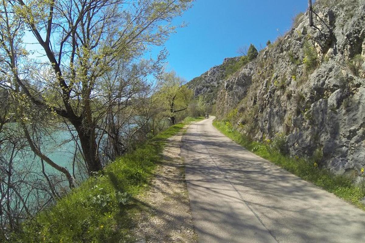 egy földút fákkal a hegyoldalban