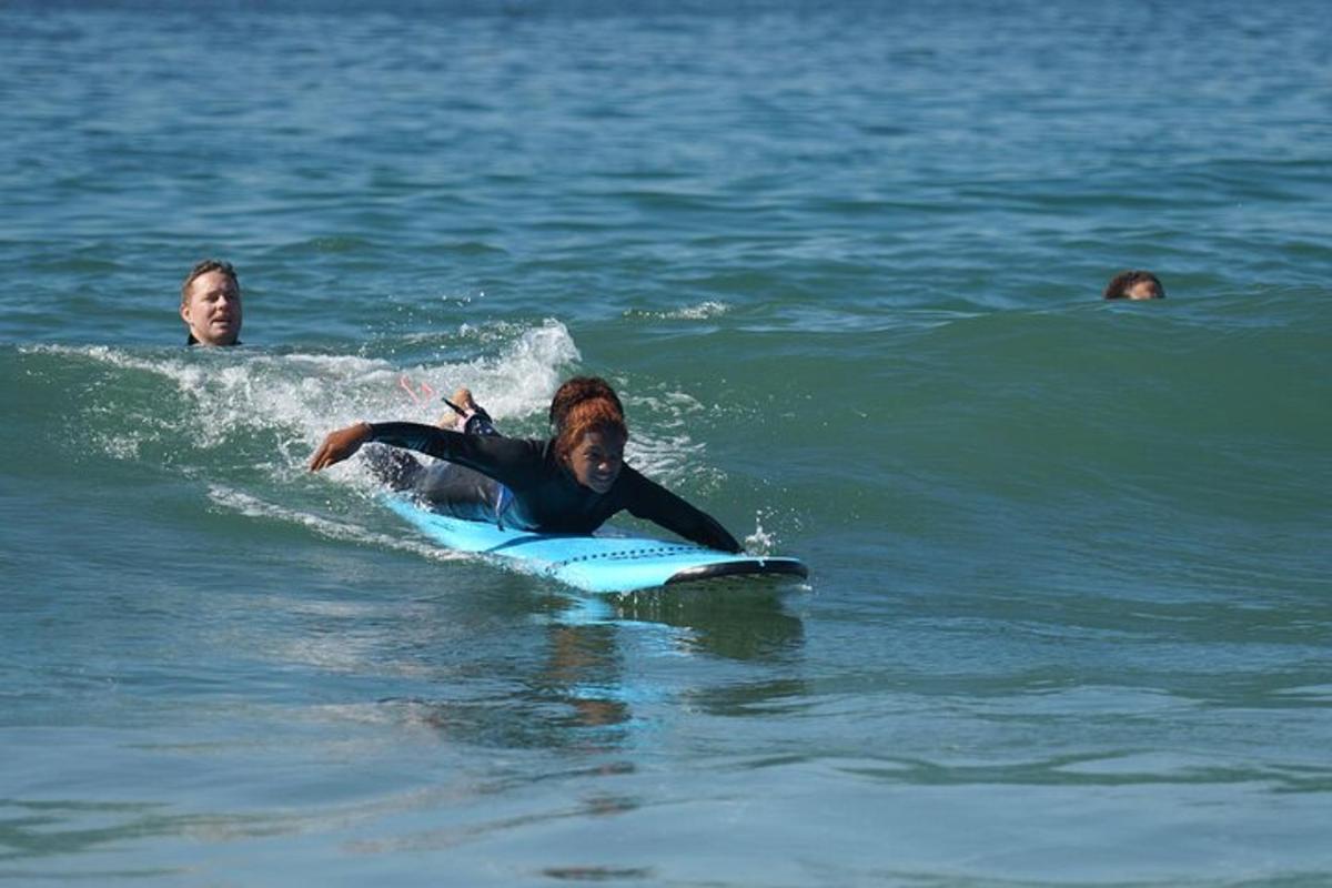 un cane che cavalca un'onda su una tavola da surf nell'oceano