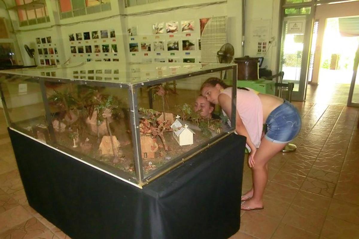 žena se sklání, aby se podívala do skleněného akvária